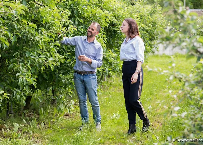 Arbule Agriturismo & Spa Valtellina