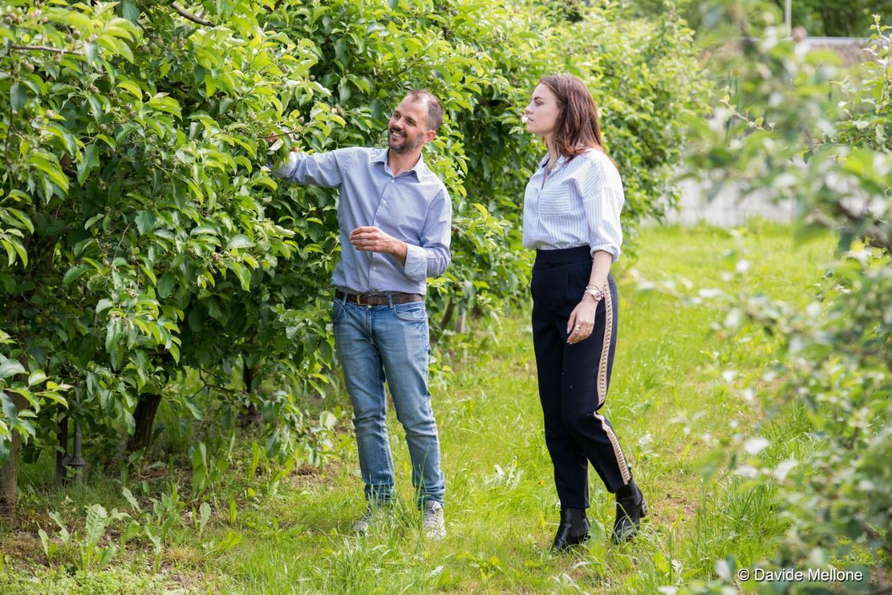 Arbule & Valtellina Farm stay Poggiridenti